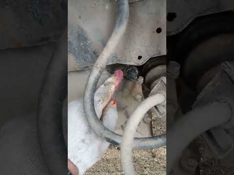 Видео: замена датчика скорости nissan presage