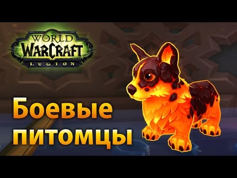 Видео: Нубо-гайд: боевые питомцы в WoW