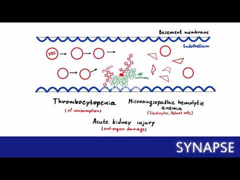 Видео: USMLE Step 1 - Тромботическая тромбоцитопеническая пурпура