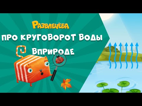 Видео: Развлечёба. Окружающий мир. Про круговорот воды в природе