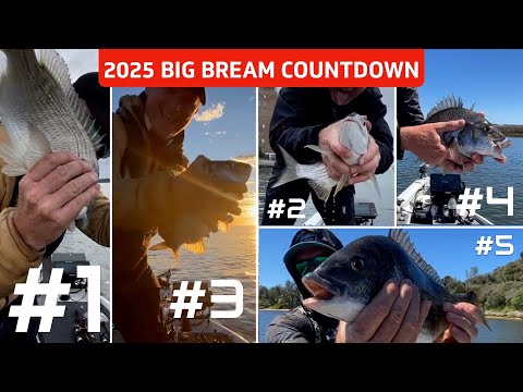 Видео: ТОП-5 БОЛЬШИХ ЛЕЩЕЙ 2025 ГОДА