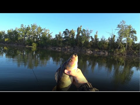 Видео: Окунь на отводной поводок