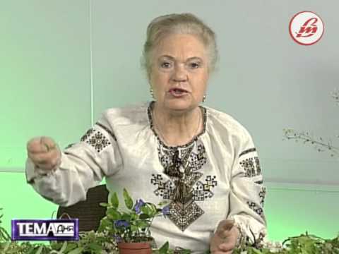 Видео: «Тема дня» (Ефір від 25.04.2016)