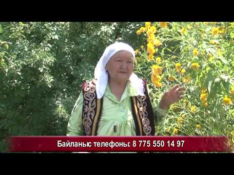 Видео: Ит, құс, жыланның тілін білетін   болжампаз Жәмилә апа +7775 550 14 97