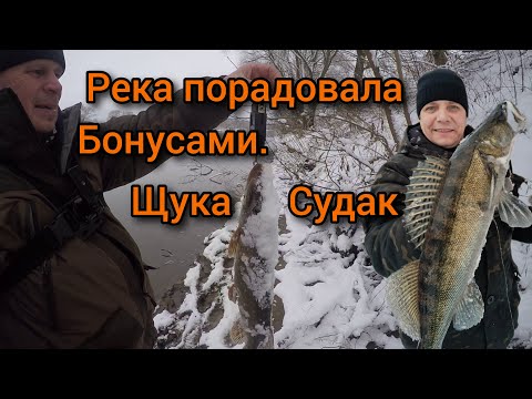 Видео: ЛОВЛЯ ЩУКИ и СУДАКА | ДЖИГ лёгкими грузами | РЫБАЛКА на Москве реке в НОВОЙ ЛОКАЦИИ|