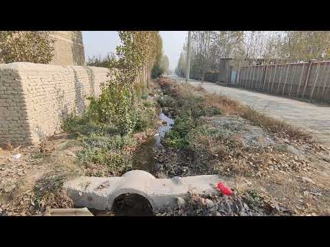 Видео: Кишлок хаётидан кизикарли ва фойдали лавхалар.Хонкиз К-ги.