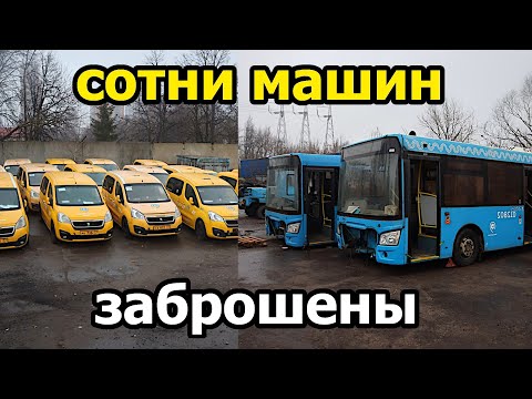 Видео: Нашли кладбище техники! Сотни заброшенных машин, автобусы, трактора. Они никогда отсюда не уедут!