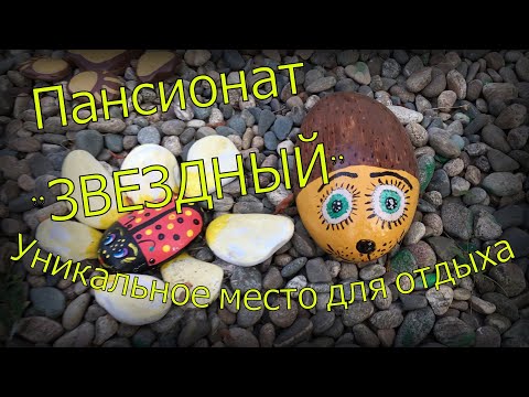 Видео: Пансионат "Звездный" | Уникальное и живописное место для отдыха и релакса на берегу Черного моря