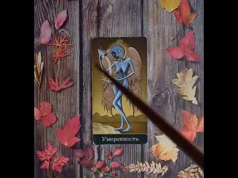 Видео: Для начинающих.Таро Безумной луны.Старший аркан Умеренность