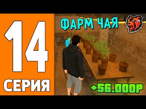 Видео: ПУТЬ ИГРОКА НА БЛЕК РАША #14 - ЗАРАБОТОК на ЧАЕ BLACK RUSSIA!