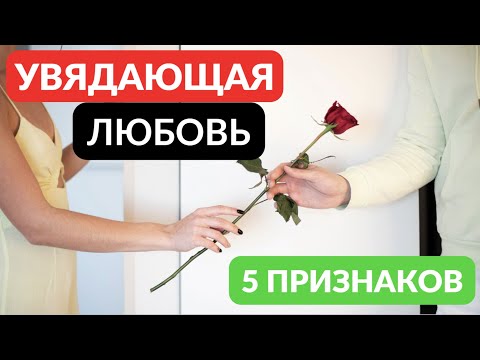 Видео: Увядающая любовь