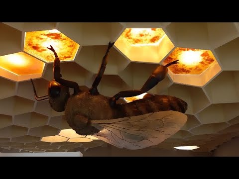 Видео: Круиз Мано Сапанут, июль 2024. Хайфа - Родос - Санторини. Экскурсия в Музей пчёл Родоса