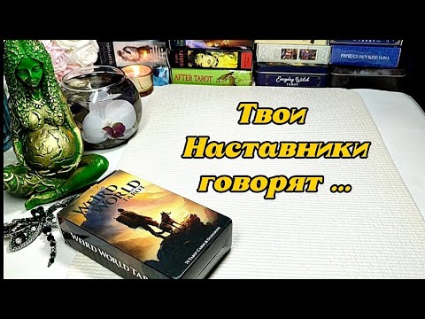 Видео: 🦋✨Твои НАСТАВНИКИ ⚖️✨ Куда ведут тебя? 😇⚖️