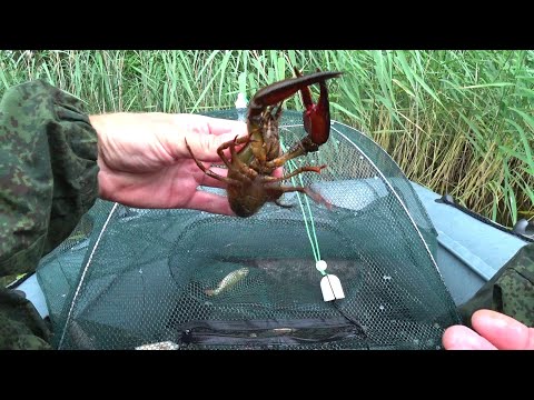 Видео: Проверка Китайских Раколовок! Поставил Раколовки на Озере!