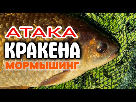 Видео: БОЙ С КРАКЕНОМ! Огромный КАРАСЬ на МОРМЫШИНГ. #мормышинг #nanojig #рыбалка #стритфишинг #карась