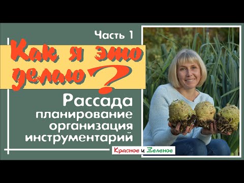 Видео: Как я организую процесс выращивания рассады. Часть1