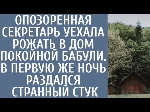 Видео: Опозоренная секретарша уехала рожать в дом покойной бабушки… В первую же ночь раздался странный стук