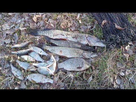 Видео: перезалив 1-ой разведки! кастинговая сеть 25-ка.