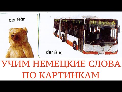 Видео: НЕМЕЦКИЙ, ГЛАВНЫЕ СЛОВА С ПЕРЕВОДОМ для начинающих по картинкам.