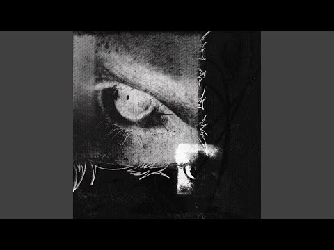 Видео: самая глупая в мире вещь