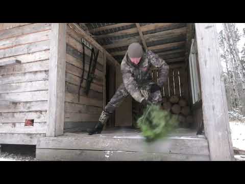 Видео: Живу в Тайге. По первому Снегу добыл Мяса.
