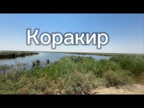 Видео: Коракир Бухоро