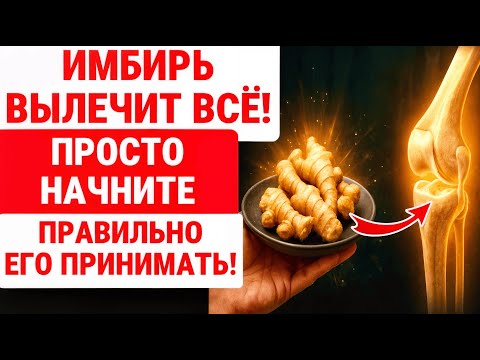 Видео: Имбирь ЭТО СИЛА ПРИРОДЫ! ВОТ КАК ПРАВИЛЬНО ЕГО ЕСТЬ ДЛЯ ЭНЕРГИИ / ЗДОРОВЬЕ ПОЖИЛЫХ