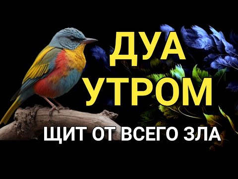 Видео: МОЩНОЕ УТРЕННЕЕ ДУА ДЛЯ ЗАЩИТЫ 🤲💫💯