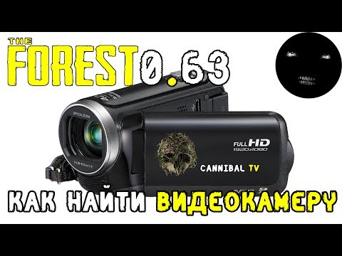 Видео: The Forest 0.63 Как найти видеокамеру