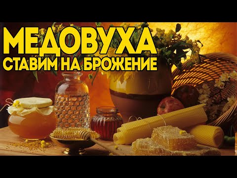 Видео: КЛАССИЧЕСКАЯ МЕДОВУХА | СТАВИМ НА БРОЖЕНИЕ
