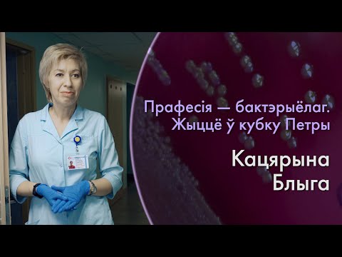 Видео: Профессия – БАКТЕРИОЛОГ. Жизнь в чашке Петри