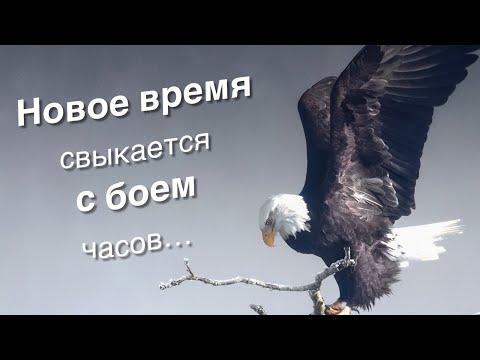 Видео: Диалог с Андреем Сидерским.
