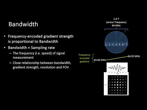 Видео: MR Physics 5 — Пропускная способность