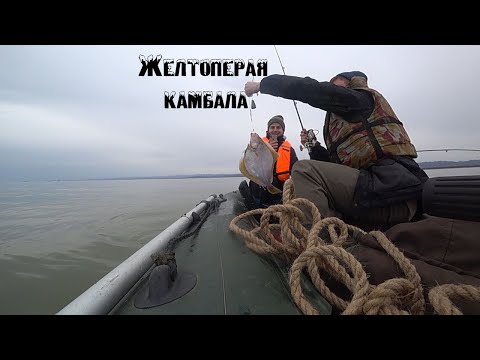Видео: Ловля Желтопёрой камбалы на о.Сахалин! Первый выход в залив.