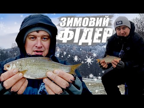 Видео: ЗИМОВИЙ ФІДЕР / #fishing