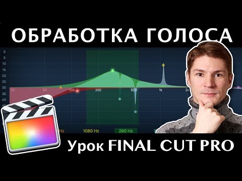 Видео: ОБРАБОТКА ГОЛОСА в Final Cut Pro. ЭКВАЛИЗАЦИЯ ЗВУКА. Эффект Эквалайзер