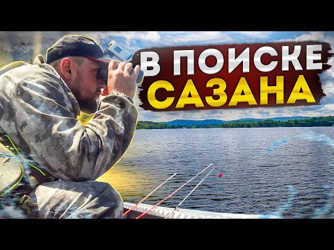 Видео: В ПОИСКАХ САЗАНА НА ДОНУ РЫБАЛКА С ЛОДКИ