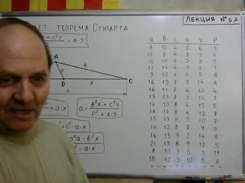 Видео: Математика. Теорема Стюарта