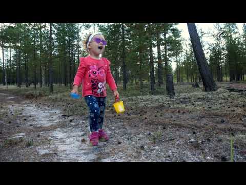 Видео: "ФОТОВЗГЛЯД" Миг... Фото С. Лифановой, проект О. Дзиова