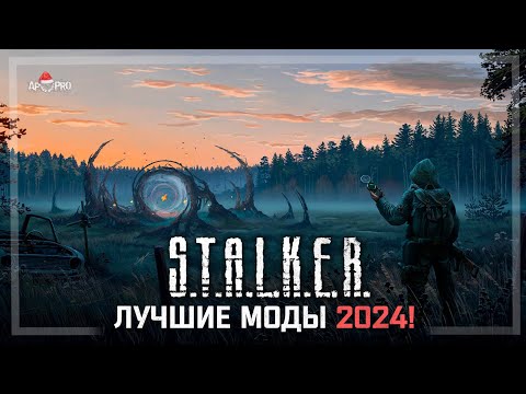 Видео: S.T.A.L.K.E.R.: ТОП - 5 ЛУЧШИХ МОДОВ 2024 ГОДА!