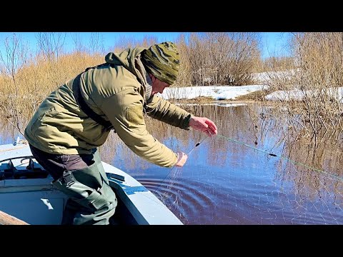 Видео: Охота на уток. Ловим на сети и фитили. Рыбалка и охота на Крайнем севере