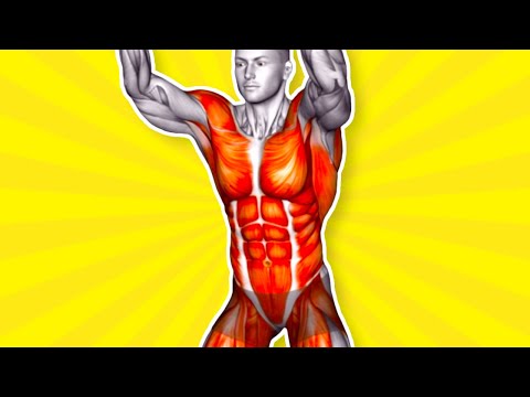 Видео: ➜ #1 Упражнение для нижней части живота, которое нужно выполнять каждый день