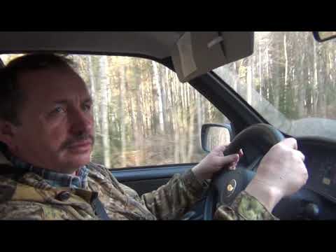 Видео: Охота на боровую дичь #глухарь #охота #боровая #мужики #мужскоехобби #охотники