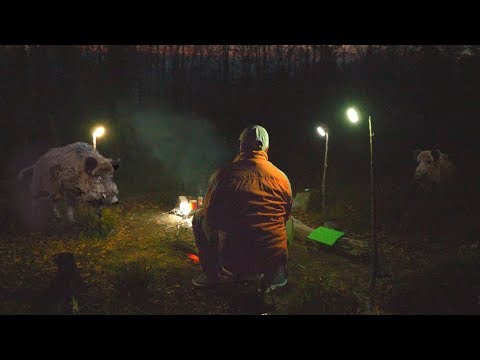 Видео: 24 ЧАСА В ЛЕСУ С ТОВАРАМИ ALIEXPRESS [часть 2]