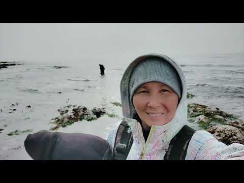 Видео: НАШЛА ЕГО и там же съела .. Прогулка по морю.