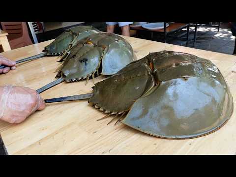 Видео: ГИГАНТСКИЙ ИНОПЛАНЕТНЫЙ КРАБ ЧАСТЬ 2 Вьетнамская уличная еда