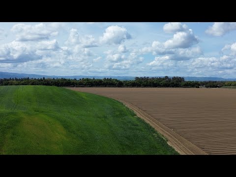 Видео: Мой день рождения