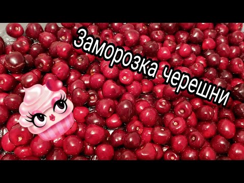 Видео: Заморозка черешни/ Неожиданный результат 😳