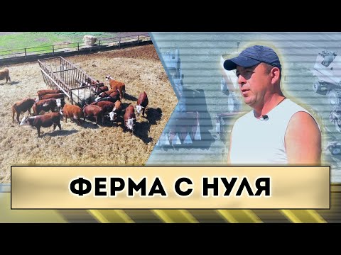 Видео: Ферма с нуля...