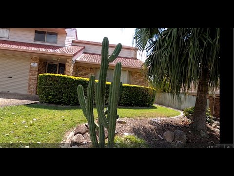 Видео: Про Клинеров Коллег. Жизнь Уборщика в Австралии 🙈🙉🙊 На прогулку! ПРОДОЛЖЕНИЕ